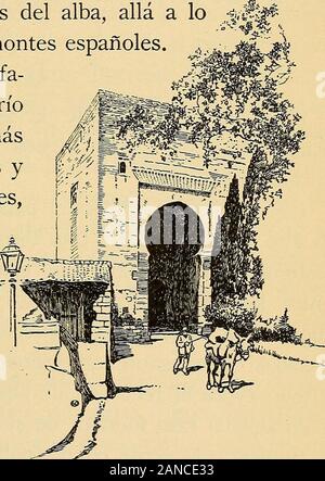 Espaäna pintoresca; the life and customs of Spain in story and legend . me de la grandiosa catedral, dondecon frecuencia había encontrado un lugar de quietud, de 10 encanto artístico, de soledad soñadora, que inspiró muchasveces mis ideales, y mitigó en ocasiones mis pesadumbres. LA ALHAMBRA Nuestro corazón late con fuerza al aproximarnos a lahermosa Granada. La noche pasa lenta, muy lentamente;las estrellas comienzan a palidecer, y al fin divi- .. ^jsamos las delicadas líneas del alba, allá a lolejos, por encima de los montes españoles. Al acercarnos a la fa-mosa ciudad vemos el ríoDarro, río Stock Photo