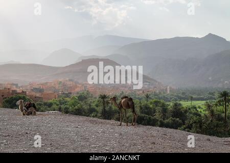 Panoramic view on the oasis of Tinghir in the Dades valley near the Tondra River in southern Morocco. Stock Photo