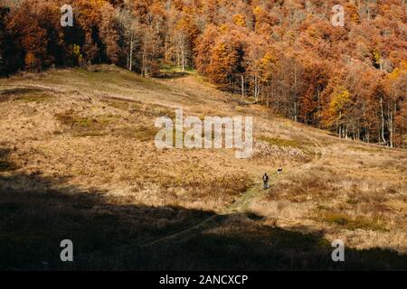 Man and dog hiking through big field with autumn forest around Stock Photo