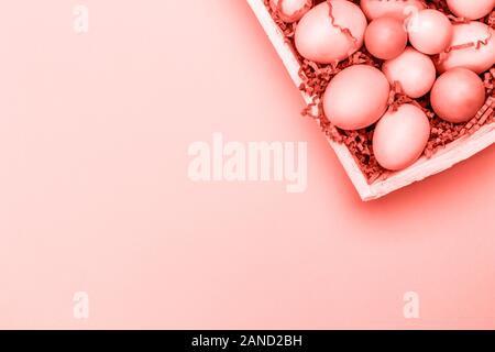 Multicolor eggs in a white tray. Creative Easter concept. Modern solid pink background. Horizontal. Living coral theme - color of the year 2019 Stock Photo