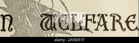 The Survey October 1916-March 1917 . t^&m vv UKtm C0SBfl20. Stock Photo