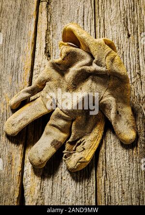 Studio still life close-up of worn leather work gloves Stock Photo