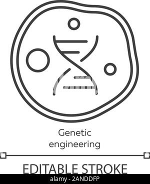 Genetic engineering linear icon. Genes manipulation using biotechnology. Living body cell. Genome modification. Thin line illustration. Contour symbol Stock Vector