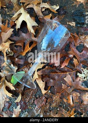 Toasting glass found on the ground on New Year's Day 2020. Stock Photo