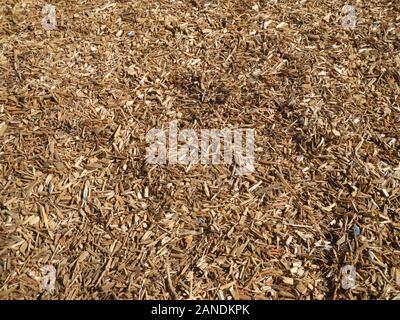 wood chips on ground pattern background Stock Photo