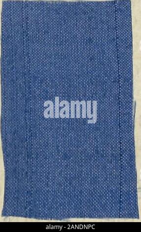 Le bleuet de france hi-res stock photography and images - Alamy