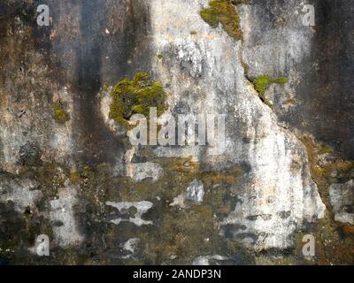 Grunge brickwork wall texture with moss render and bullet holes Stock Photo