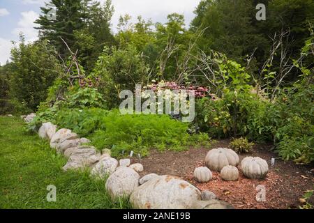 Rock edged border with concrete gourd sculptures and purple Echinacea purpurea and 'White Lustre' - Coneflowers in front yard country garden in summer Stock Photo