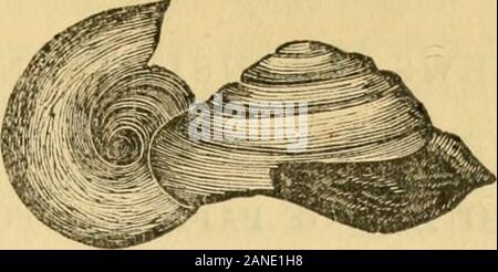 The Canadian journal of industry, science and art . Pig. 123.. Kg. 124. Stock Photo