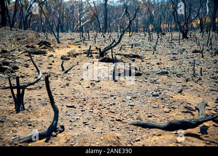 Bush Fire Devastation in Australia Stock Photo