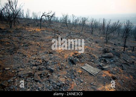 Bush Fire Devastation in Australia Stock Photo