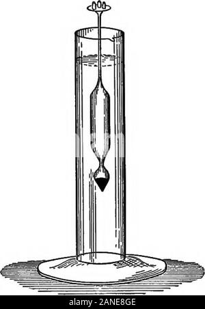 The outlines of physics: an elementary text-book . Fig. 99. DENSITY 125 give in direct readings the degree of concentration of brineor the strength of an acid. 110. Hydrometers of Constant Immersion. — All of the hydrometers mentioned in Art. 109 have a common prin-ciple of action. They are called hydrometers of variableimmersion. Fahrenheit, the originator of the type of ther-mometer which goes by his name, devised an hydrometer,the slender neck of which carries but one mark. The instru-ment is constructed with a tiny scale pan above (Fig. 100),. Stock Photo