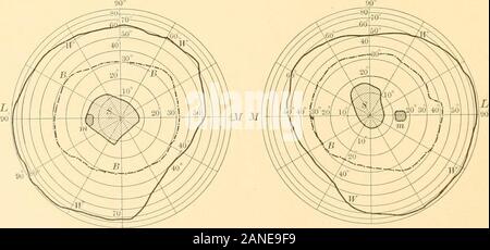 tobacco amblyopia treatment The toxic amblyopias: their classification, history, symptoms, pathology, and . Figs. 22, 23, 24, and 25 from Groenouw, illustrating islands of absolutedefect within the relative scomatous areas. Fig. 26. R.E. ^?llV.y., + Tobacco Addiction: Symptoms, Causes, Effects,