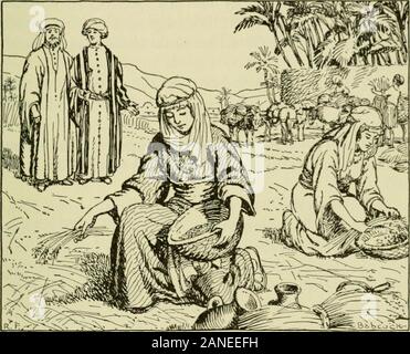 'Ruth Gleaning in the Field of Boaz', c1804. Artist: Unknown Stock ...