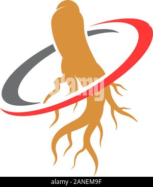 Ginseng vector icon illustration design template Stock Vector