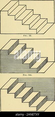 Fact and fable in psychology . he background, which in cross-section would be an isoscelestriangle with a large obtuse angle, or a space of similar shape hollowedout of the solid wood or stone. In running the eye along the pattern, itis interesting to observe how variously the patterns fluctuate from one ofthese aspects to the other. left, and now the black surfaces have changed andhave become the tops, pointing upward and to theright. For some the changes come at will; for othersthey seem to come unexpectedly, but all are aided byanticipating mentally the natui-e of the transformation.The eff Stock Photo