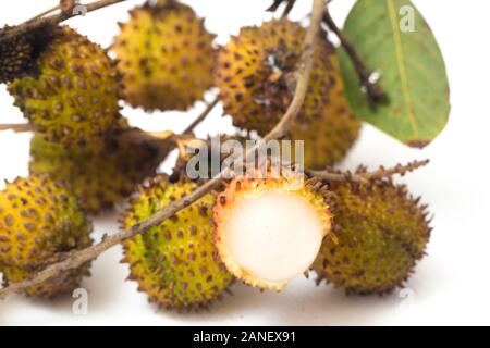 Rambutan Fruit ( Nephelium lappaceum ) - Rambutan fruit is a fruit similar to lychee. Rambutan fruit isolated on white background Stock Photo