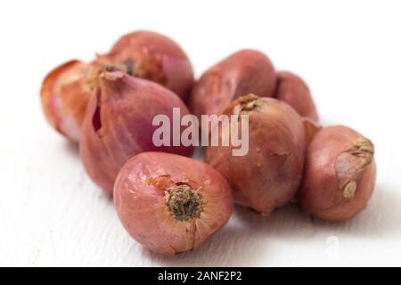 Fresh shallots isolated on white background Stock Photo