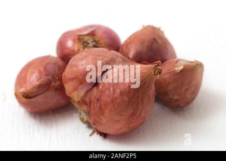 Fresh shallots isolated on white background Stock Photo