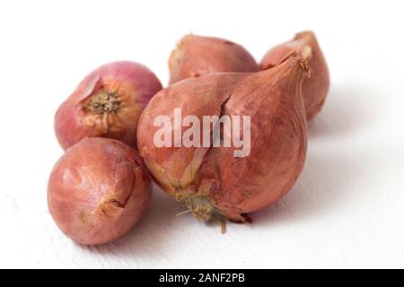 Fresh shallots isolated on white background Stock Photo