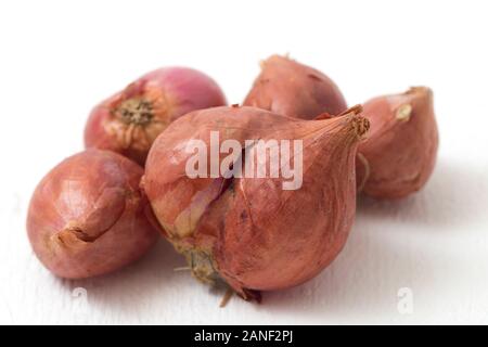 Fresh shallots isolated on white background Stock Photo
