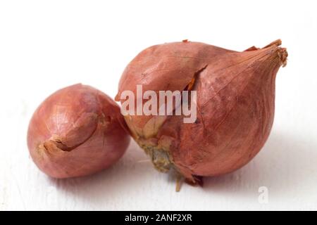 Fresh shallots isolated on white background Stock Photo
