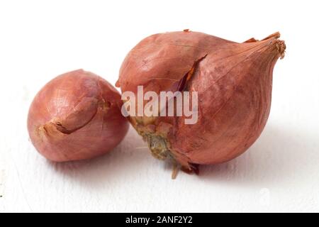 Fresh shallots isolated on white background Stock Photo
