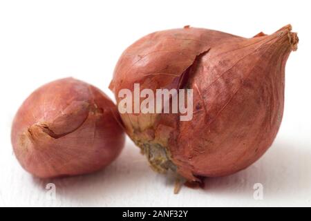 Fresh shallots isolated on white background Stock Photo