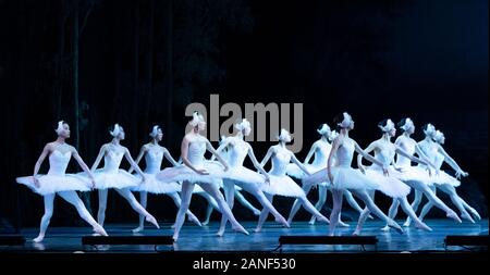 New York, United States. 16th Jan, 2020. New York, NY - January 16, 2020: Dancers of Corps de Ballet perform Grand Swan Lake by Shanghai Ballet during press preview at Lincoln Center David Koch Theater (Photo by Lev Radin/Pacific Press) Credit: Pacific Press Agency/Alamy Live News Stock Photo