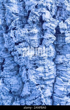 Abstract cyan light blue background. Beautiful Abstract Grunge Decorative Light Blue Cyan  Stucco Wall Texture. Stock Photo