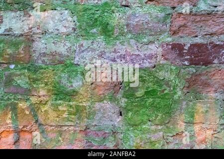 Brick wall. Old paint. Different colour.  Close-up.  Old wall multicolor. Bricks painted in a different bright color Stock Photo