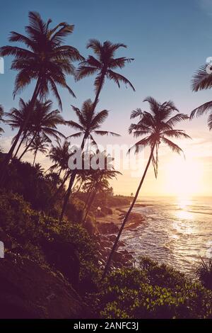 Tropical island at sunrise, color toned picture, Sri Lanka. Stock Photo