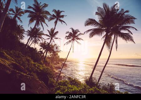 Tropical island at sunrise, color toned picture, Sri Lanka. Stock Photo