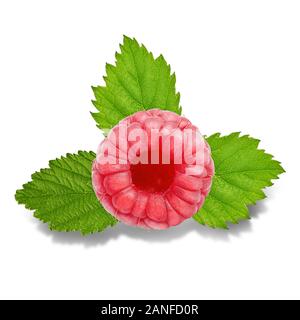 Three raspberry fruits with leaves isolated on white Stock Photo