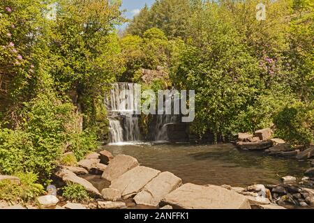 Waterfall on River Llan, Penllergare Valley Woods, Penllergaer, Swansea, South Wales, UK Stock Photo