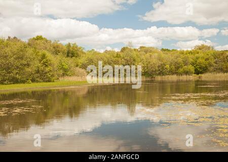 Lower Lake, Penllergare Valley Woods, Penllergaer, Swansea, South Wales, UK Stock Photo