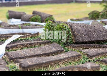 Turf grass roll, green grass carpet in roll for lawn. Stack of turf grass rolls for the landscaping Stock Photo