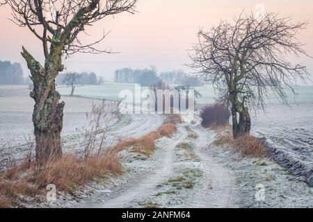 Country road among frozen fields and trees, polish village close to Gniezno. Winter landscape, Poland. Stock Photo