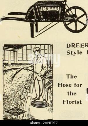 Dreer's wholesale price list : decorative and other plants for florists, bulbs for forcing, seasonable flower seeds and florists' requisites .