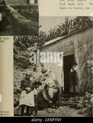 The Survey October 1916-March 1917 . II. Stock Photo