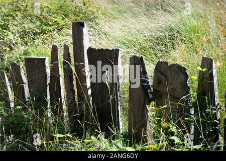 Fence made from slabs of slate, Dolgoch, near Tywyn (Towyn), Wales Stock Photo