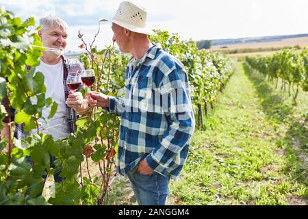 Two winegrowers drink a glass of red wine together in the vineyard in autumn Stock Photo
