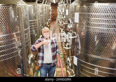 Older winemaker as a wine master drinks a glass of red wine in front of a fermentation tank Stock Photo