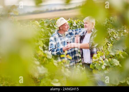 Two winegrowers drink a glass of red wine together while harvesting in the vineyard Stock Photo