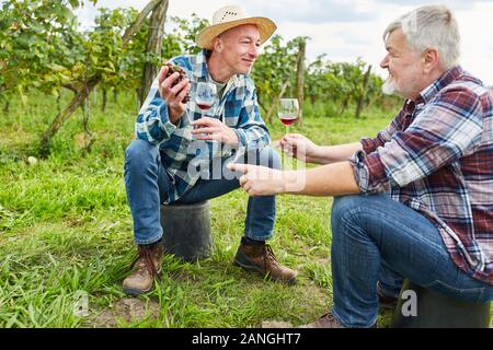 Two winegrowers drink a glass of red wine together during the wine harvest in the vineyard Stock Photo