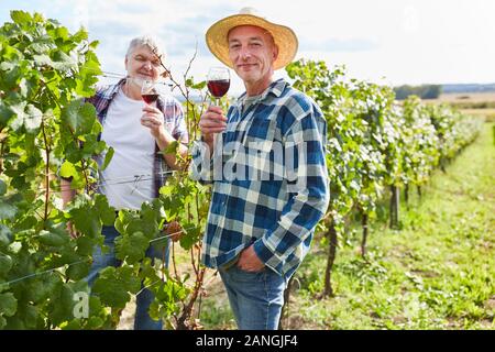 Two winegrowers drink a glass of red wine during a wine tasting in the vineyard Stock Photo