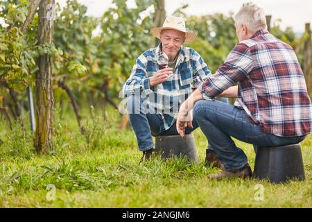 Two winegrowers drink a glass of red wine together during the wine harvest Stock Photo