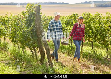 Young couple carries basket of wine and grapes for a picnic in the vineyard Stock Photo