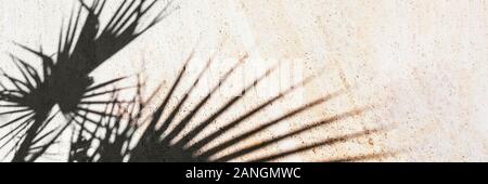 Black shadow of tropical plants on tiles. Beautiful style of light background. Sunny summer day. Banner of wall or floor with shade. Stock photo. Stock Photo