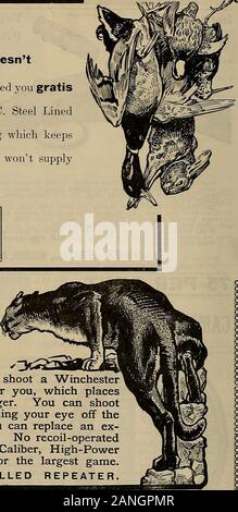 Breeder and sportsman . C. and Remington—the perfect shooting combination. SAME OWNERSHIP SAME MANAGEMENT SAME STANDARD OF QUALITY The Union Metallic Cartridge Co. Bridgeport. Conn. Agency: 313 Broadway, New York City The Remington Arms Co. Ilion, N. Y. WfMCHBSTER S—^— I —? Mil IIHIII Mil I1WI I Ik .351 Caliber, High-Power Self-Loading Rifle 0 HERE is nothing to take your mind off the game if you shoot a WinchesterSelf-Loading Rifle. The recoil does the reloading for you, which placesthe complete control of the gun under the trigger finger. You can shootsix shots as fast as you can pull the tr Stock Photo